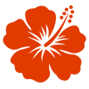 Hibiscus_fleurs_rouge Hibiscus_fleurs_rouge
